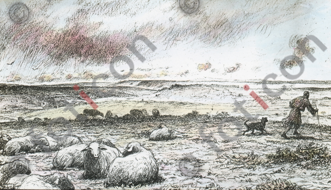 Gleichnis vom verlorenen Schaf | Parable of the Lost Sheep - Foto foticon-simon-132034.jpg | foticon.de - Bilddatenbank für Motive aus Geschichte und Kultur